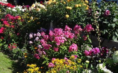 Burgberg Blumenschmuckprämierung 2020