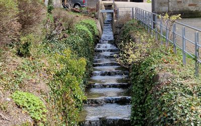 Hochwasserschutz Dorfbach